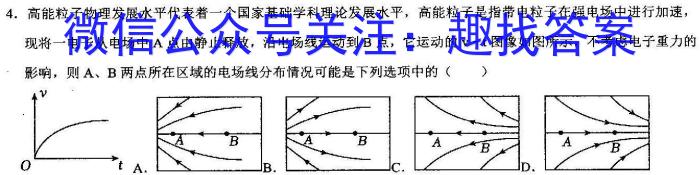 真题密卷2024年普通高等学校招生全国统一考试模拟试题(一)物理试题答案