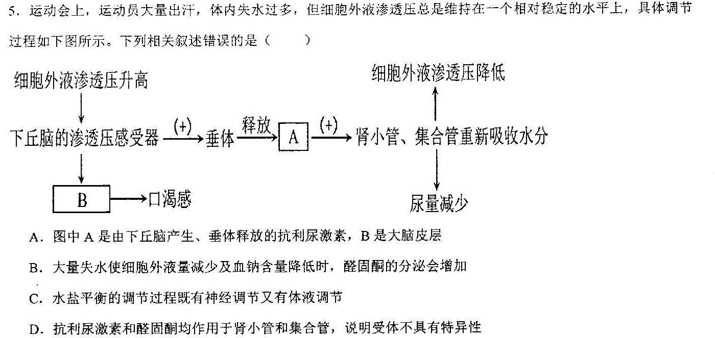 河南省2024年九年级「决战中招」模拟试卷生物