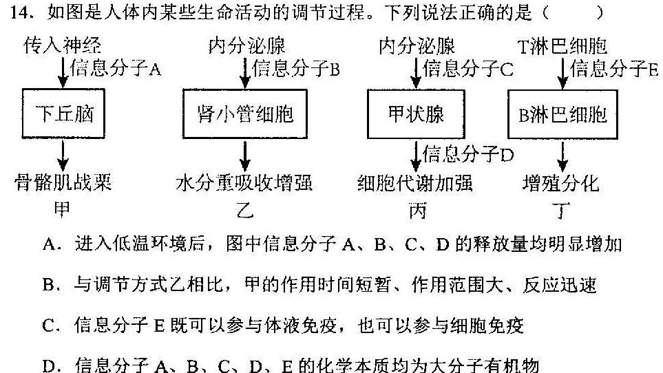 河南省信阳市淮滨县2025届九年级开学考试生物