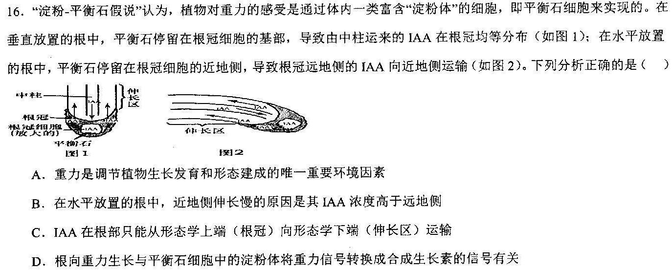 2024年银川一中、昆明一中高三联合考试一模(3月)生物学试题答案