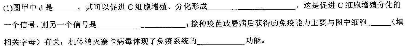 2023-2024学年广西高一年级阶段性期中考试(24-490A)生物学试题答案