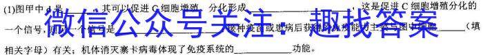 江西省2025届高二上学期2月开学考试生物学试题答案