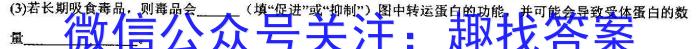 2024年普通高等学校招生全国统一考试冲刺金卷(二)2生物学试题答案