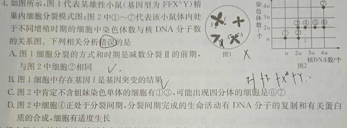 陕西省2023~2024学年度七年级期中教学素养测评(六) 6L R-SX生物