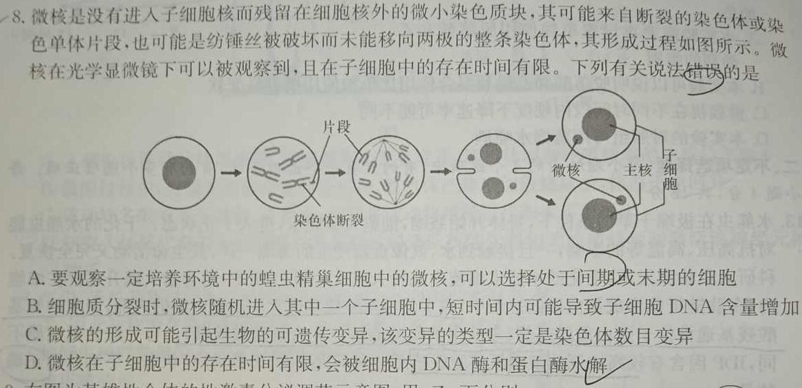 2024届衡水金卷先享题调研卷(重庆专版)三生物学部分