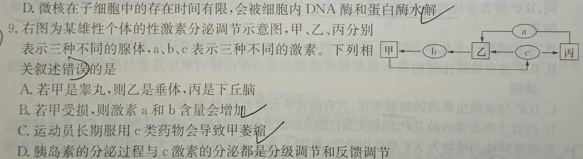 江西省2023-2024学年度九年级期末练习(四)4生物学部分