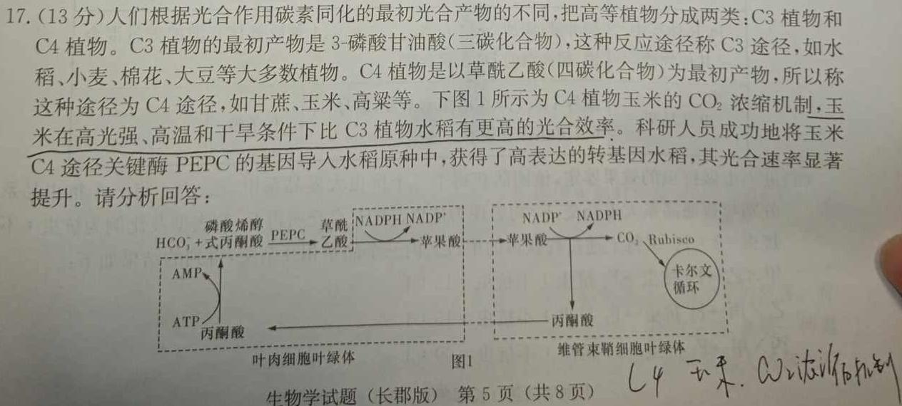 安徽鼎尖教育 2024届高一1月期末考试生物学部分