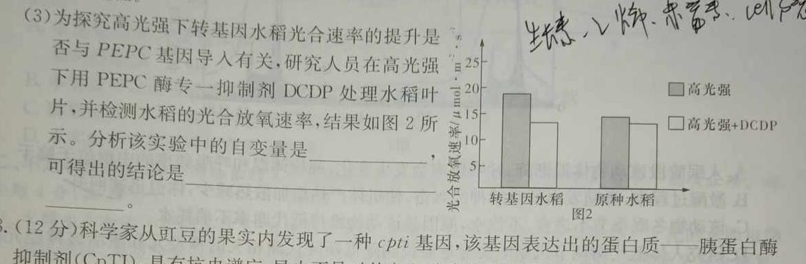 江西省赣州经开区2023-2024学年第二学期七年级期中考试试卷生物