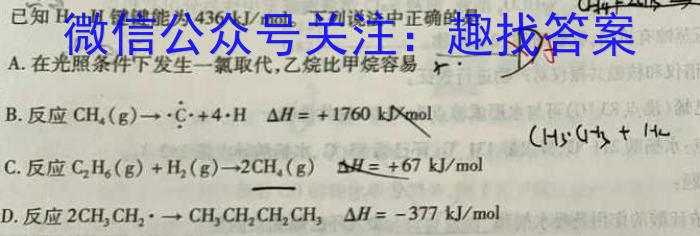 3河北省2023-2024学年度第一学期高一年级12月月考试卷化学试题