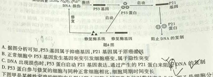 江西省2024年初中学业水平考试冲刺练习（三）生物学试题答案