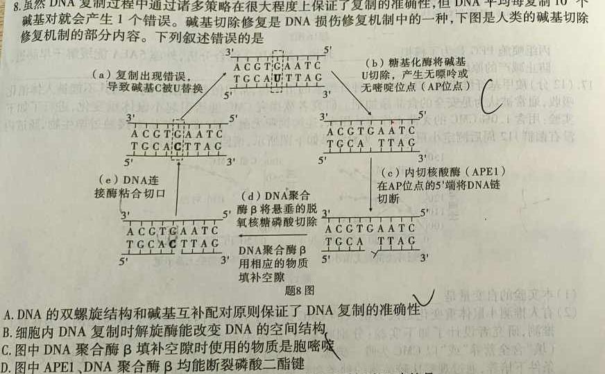 湖南省2024届高三统一考试试题（1月）生物学部分