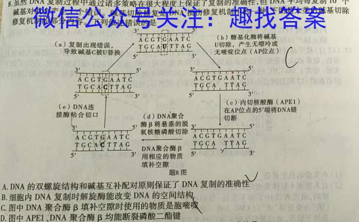 滨城高中联盟2023-2024学年度下学期高二4月份考试生物学试题答案