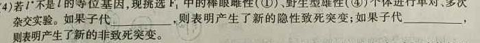 衡水大联考·陕西省2025届高三年级9月份联考生物学部分