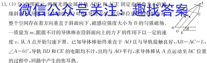 山东省潍坊市高二考试(2024.7)物理试题答案