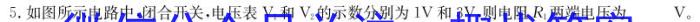 2024届广东省高三4月联考(24-424C)物理`