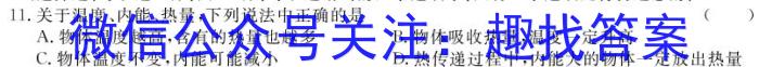 江西省2024年初中学业水平考试模拟卷（五）物理试卷答案