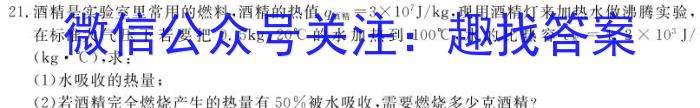 河北省2023-2024学年第二学期高二年级期中考试(242747D)物理试卷答案