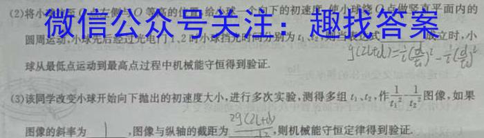 2024年普通高等学校招生全国统一考试·仿真模拟卷(三)3物理试卷答案