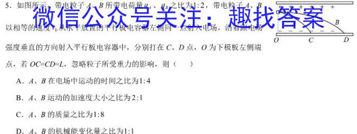 2024届江西省高三4月教学质量检测物理`