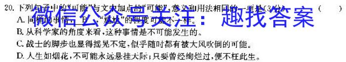 安徽省涡阳县2023-2024学年度八年级上学期1月期末考试语文