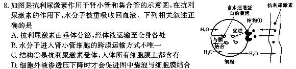 2024年江西省中考信息卷(一)1生物