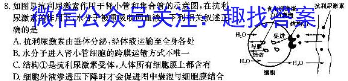 三晋卓越联盟·山西省2023-2024学年高一4月质量检测卷（期中考试）生物学试题答案