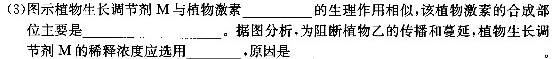 河南省开封五校2023~2024学年高二上学期期末联考生物