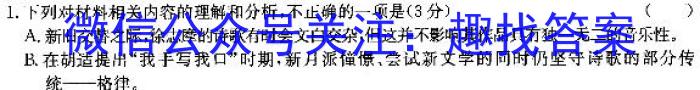 邕衡金卷·名校联盟柳州高中、南宁三中2024届一轮复习诊断性联考（2月）语文