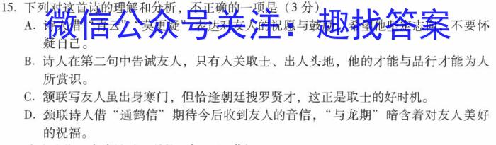 洛平许济2023-2024学年高三第二次质量检测(1月)语文