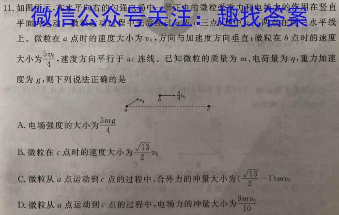 安徽省2024年1月份九年级质量检测试卷（24-CZ64c）h物理