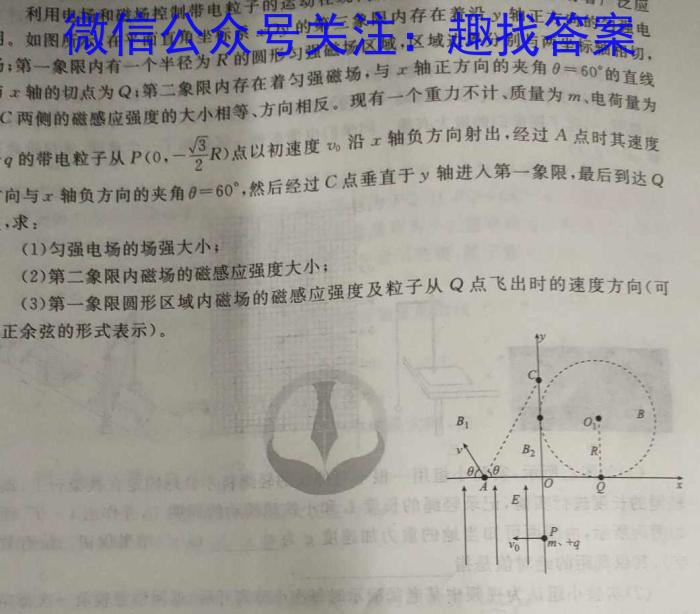 2024年河南省初中学业水平考试全真模拟试卷（六）物理`