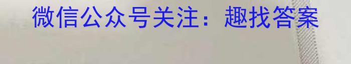 [师大名师金卷]2024年陕西省初中学业水平考试模拟卷(四)4物理试卷答案