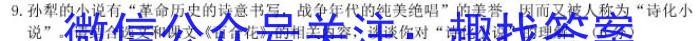 安徽省2024年九年级无标题试卷（4.7）/语文