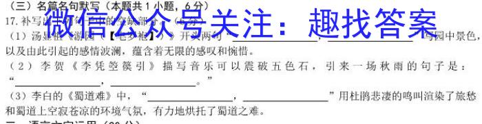 武汉市部分重点中学2023-2024学年度高二上学期期末联考语文