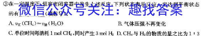 3衡水金卷先享题调研卷2024答案新高考(二)化学试题