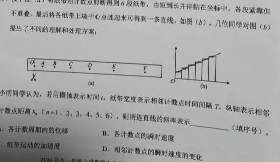 安徽鼎尖教育 2024届高一1月期末考试物理试题.