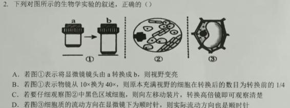 2024届辽宁省高三考试4月联考(☎)生物学部分