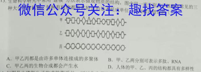 2024届衡水金卷先享题调研卷(JJ.AB)(3)生物学试题答案