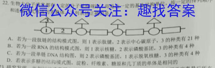 2024年山西省初中学业水平测试信息卷(二)2生物学试题答案