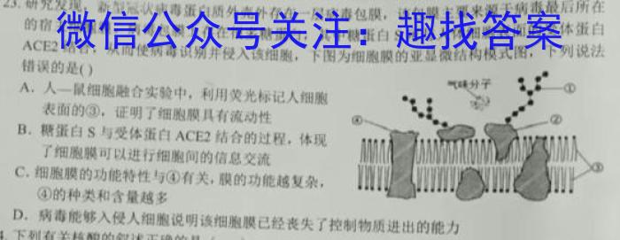 大湾区2023-2024学年第二学期期末联合考试（高二年级）生物学试题答案