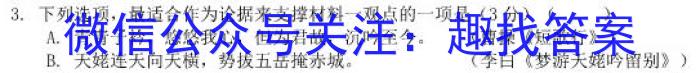 2023-2024学年安徽省普通高中高三春季阶段性检测（2月）/语文