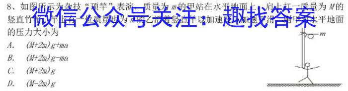 河南省2024年九年级第三次模拟试卷物理