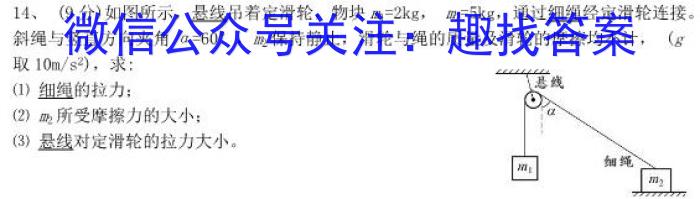 2024年辽宁省教研联盟高三调研测试物理试卷答案