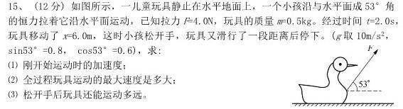 漂读教育2024年福建多校第一阶段高考复习检测联合考试物理试题.