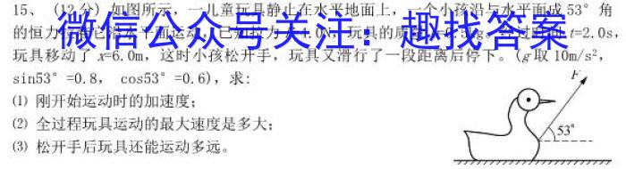 京师测评2024安徽省高三质量联合检测试卷(5.5)物理`