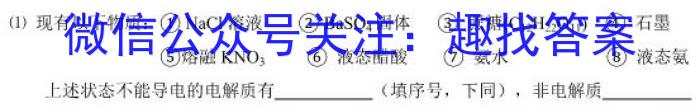 q炎德英才大联考 2024年长郡中学高一选科适应性调查限时训练化学