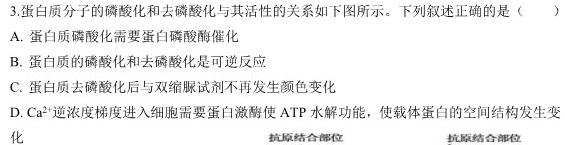 蒙城县2023-2024年度八年级第一学期义务教育教学质量检测(2024.1)生物学部分