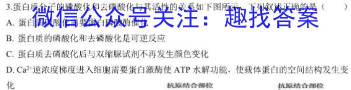 2024年春湖北省知名中小学教联体联盟九年级入学质量检测生物学试题答案