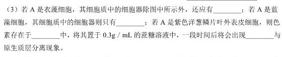 皖北五校联盟2024届高三第二次五校联考生物