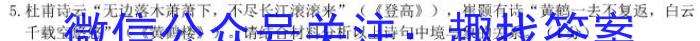 安徽省利辛县2023-2024年度第一学期九年级义务教育教学质量检测语文